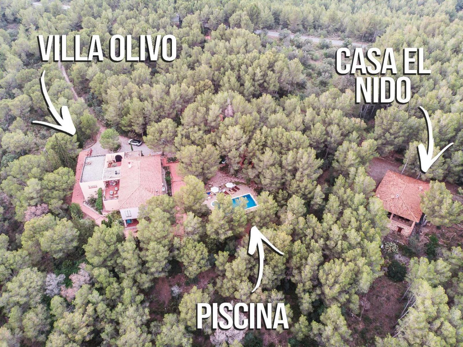 Aldeamia, Forest, Mountain View, Beach At 8 Min Vilanova de Escornalbou Экстерьер фото